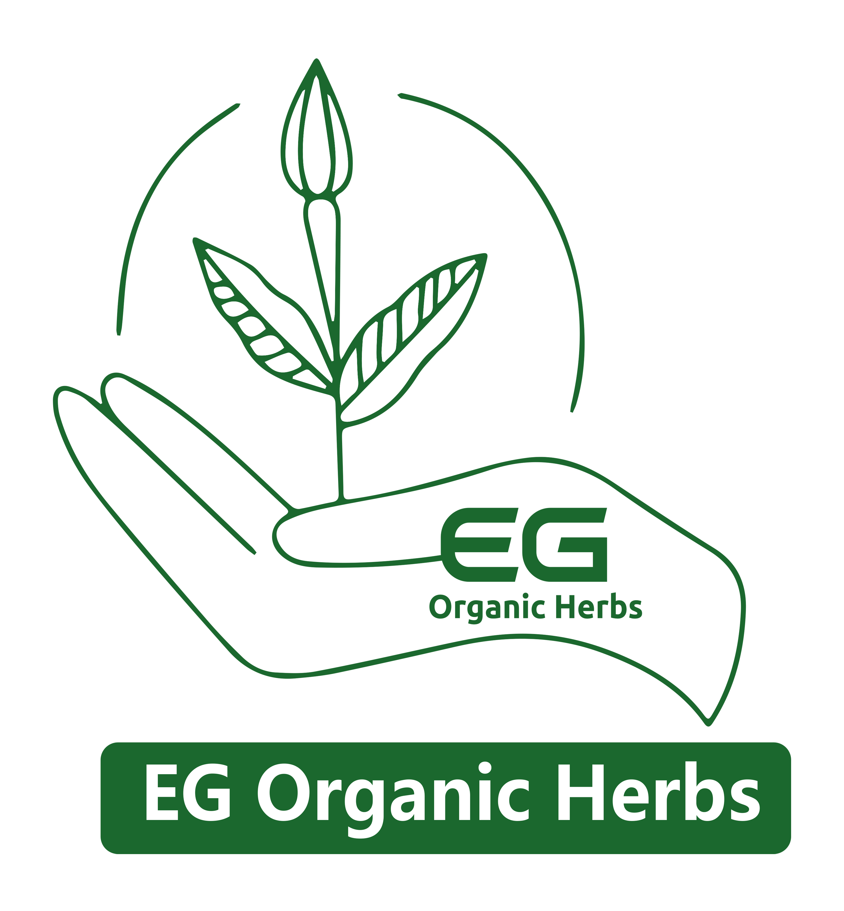 Spearmint Eg Organic Herbs